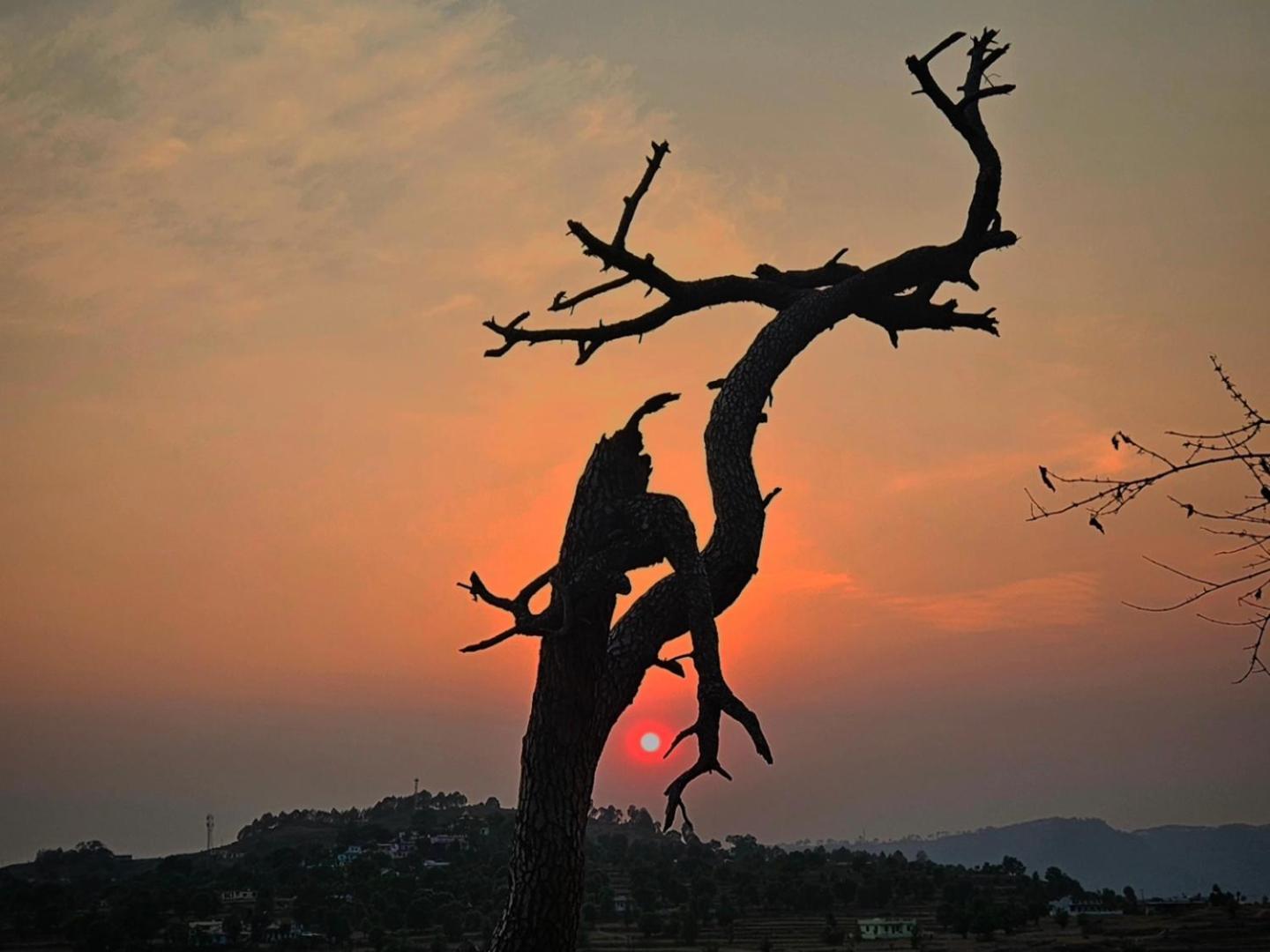 Katyuri Kings Divine Stay- Babaji'S Cave Dwarahat Екстер'єр фото